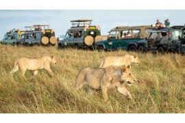 Uganda, Kenya Urged to Lift Visa Restrictions to Boost Tourism