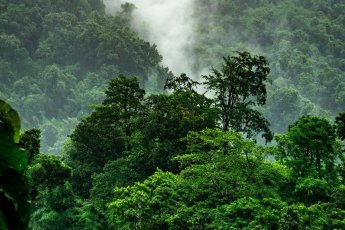 XPRIZE Rainforest Announces Finalist Teams