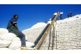 Zimbabwe agrees to sell maize to Rwanda