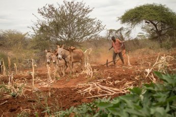 Kenya is facing 79 percent climate change financing gap, ACTS says