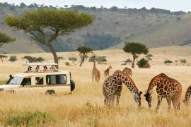 East African states seek to boost tourist arrivals