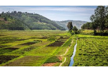 New funding opportunity for climate change adaptation initiatives
