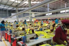 Rwanda's Economy Shows Strong Growth of 8.1% in Q3 of 2024