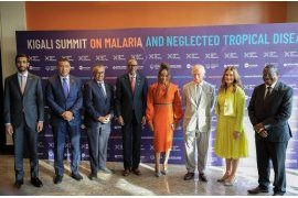 We mustn’t lose momentum in war against neglected tropical diseases