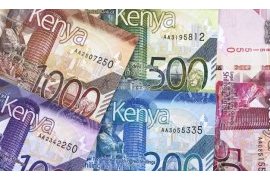 Kenyan shilling firms, horticultural produce inflows help