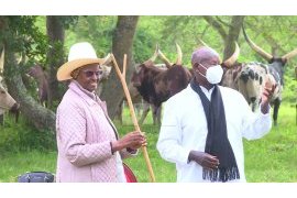 President Museveni Calls for More Foot and Mouth Vaccine Doses to Uganda