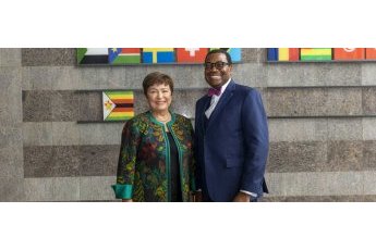 Natural resource-backed loans are a disaster for Africa, warn IMF and the African Development Bank