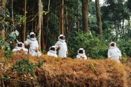 “Women for Bees” in Rwanda: Guerlain and UNESCO bring pioneering beekeeping program to Africa