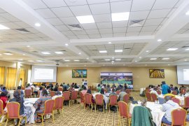 Need for Rwanda Mental Health Nurses towards advancing their studies