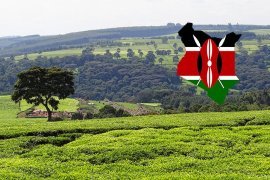 Kenya economic growth beats estimates as Agriculture picks up