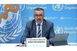 WHO Addresses Violence Against Women As a Gender Equality and Health Priority