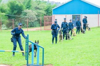 Understanding K-9: Operations and lifestyle of Police service dogs