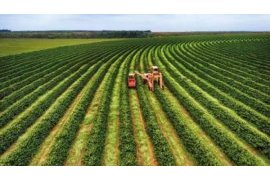 Rwanda is to Host The Agriculture Business Summit – AGRF 2o22 Summit