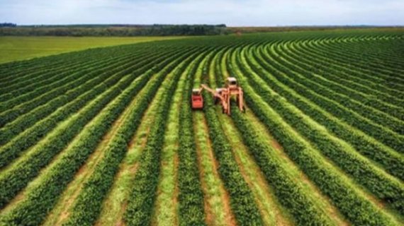 Rwanda is to Host The Agriculture Business Summit – AGRF 2o22 Summit