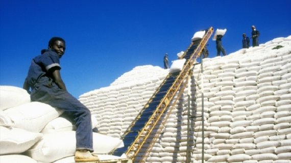 Zimbabwe agrees to sell maize to Rwanda