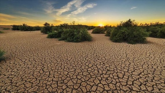 World sees first 12 months above 1.5 °C warming level: climate monitor