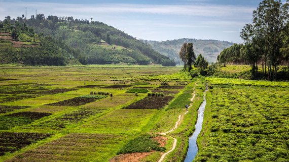 New funding opportunity for climate change adaptation initiatives
