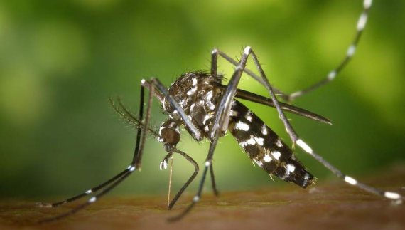 Rwanda Faces Rising Malaria Cases, Urges Action Against Mosquito Breeding