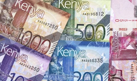 Kenyan shilling firms, horticultural produce inflows help