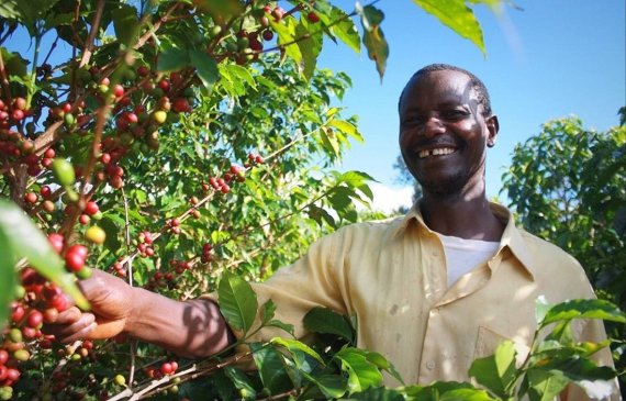 Uganda to host Africa Coffee Summit next month