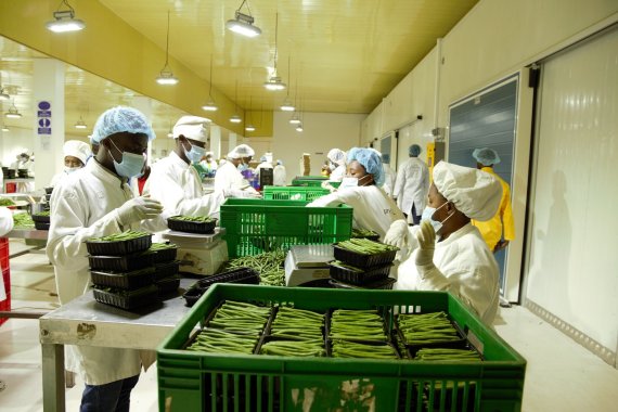 EGF launches competition to boost export-oriented businesses in Rwanda