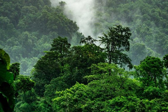 XPRIZE Rainforest Announces Finalist Teams 
