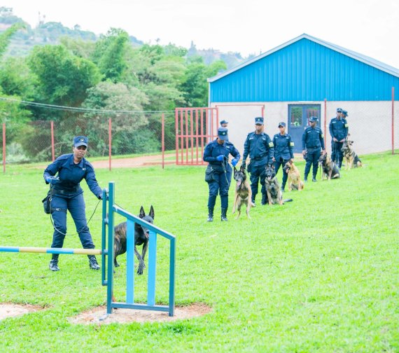 Understanding K-9: Operations and lifestyle of Police service dogs